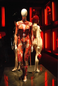 Stage costume worn by Mylène Farmer, 2009